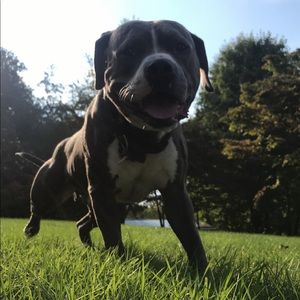 Meet your Posher, Hunter